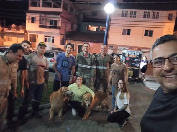 O resgate de dois cachorros em uma mata mobilizou voluntários em Domingos Martins por Arquivo Pessoal