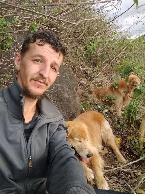 O resgate de dois cachorros em uma mata mobilizou voluntários em Domingos Martins por Arquivo Pessoal