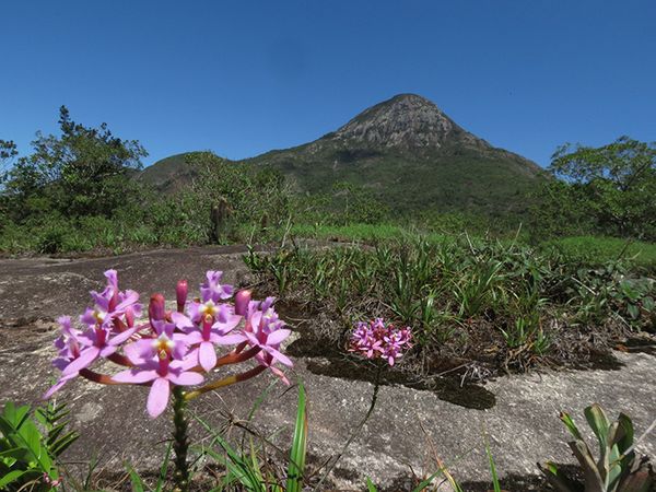 Parque Estadual do Forno Grande por Caio Cardoso