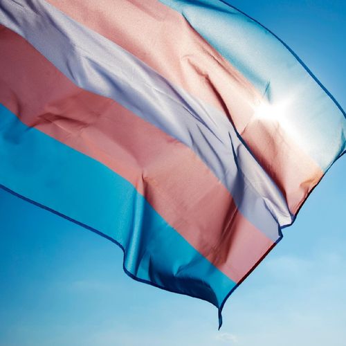 ES fará mutirão para mudar documentos de pessoas trans