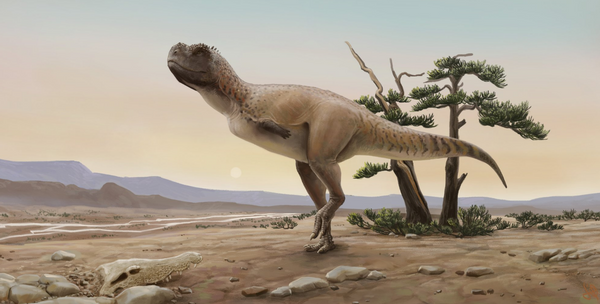Nova espécie de dinossauro carnívoro brasileiro homenageia 'deus do sexo' guarani