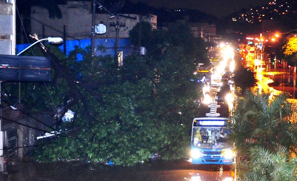 Data: 18/11/2010 - ES - Vitória - Trânsito provocado por uma árvore caída na avenida Vitória depois da forte chuva que atingiu a Grande Vitória - Editoria: Cidades - Foto: Gabriel Lordêllo - GZ