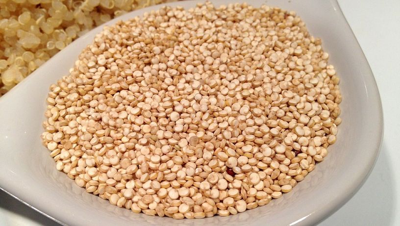 Alimentação; alimento; comida; frango; grãos; lentilha; saúde