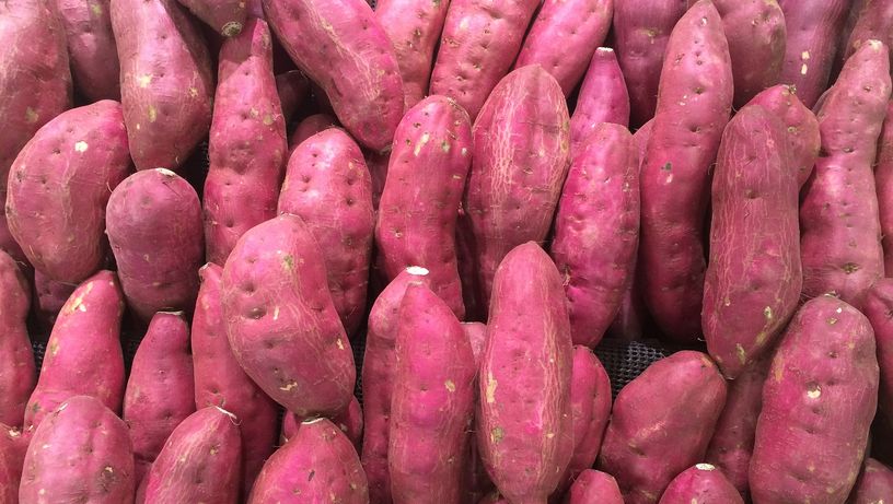 Alimentação; alimento; comida; frango; grãos; lentilha; saúde