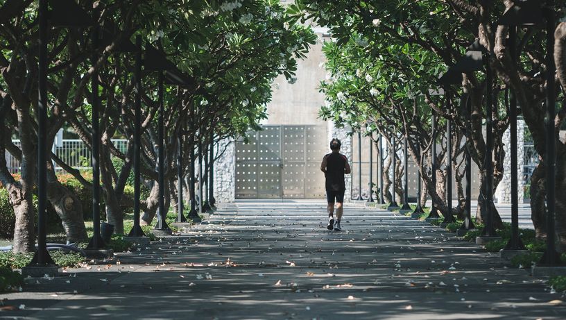 Alimentação; alimento; comida; frango; grãos; lentilha; saúde