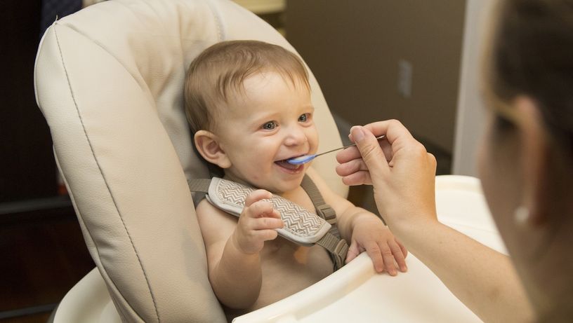 Recomendado é que as crianças a partir dos 6 meses de idade comecem a ingerir alimentos sólidos