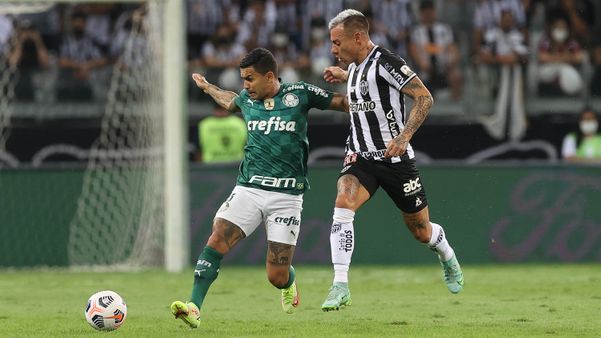 Dudu marcou o gol do Palmeiras e garantiu a classificação do Verdão à final da Libertadores