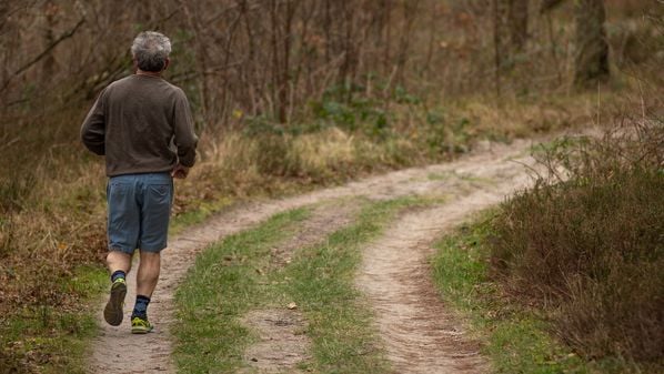 O exercício físico incrementa a liberação de neurotransmissores no cérebro. Pessoas muito sedentárias têm em média desempenho pior em testes cognitivos do que pessoas que se exercitam com frequência durante a semana