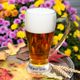 Imagem - Conheça as cervejas do estilo Saison, leves e bastante aromáticas