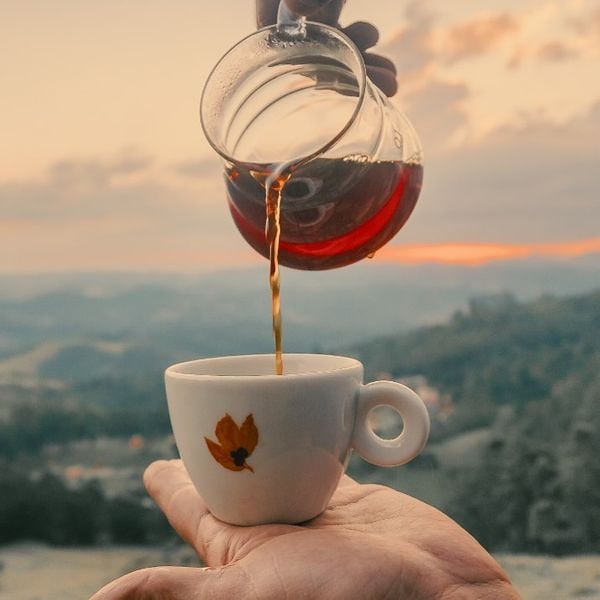 Casa Camocim, no distrito de Pedra Azul, Domingos Martins é pioneira da produção de cafés orgânicos por Divulgação/ Casa Camocim 