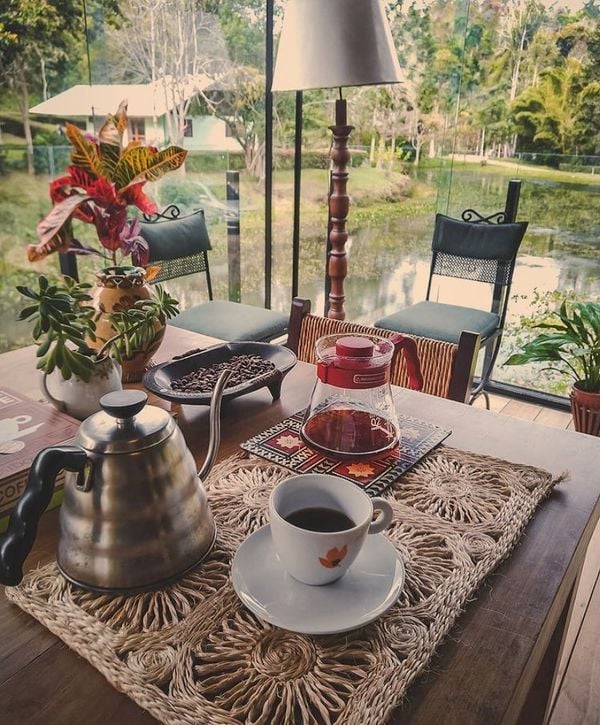 Casa Camocim, no distrito de Pedra Azul, Domingos Martins é pioneira da produção de cafés orgânicos por Divulgação/ Casa Camocim 