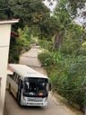 Ônibus derruba sete postes e deixa moradores sem energia em João Neiva(Telespectador / TV Gazeta)