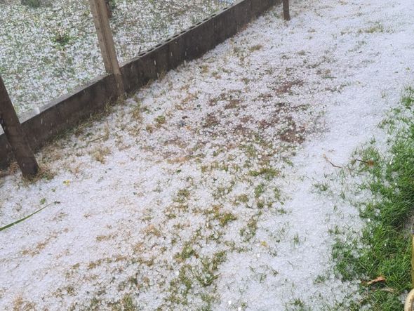 O gelo "pintou" de branco os cenários verdes dos campos por Leitor | A Gazeta