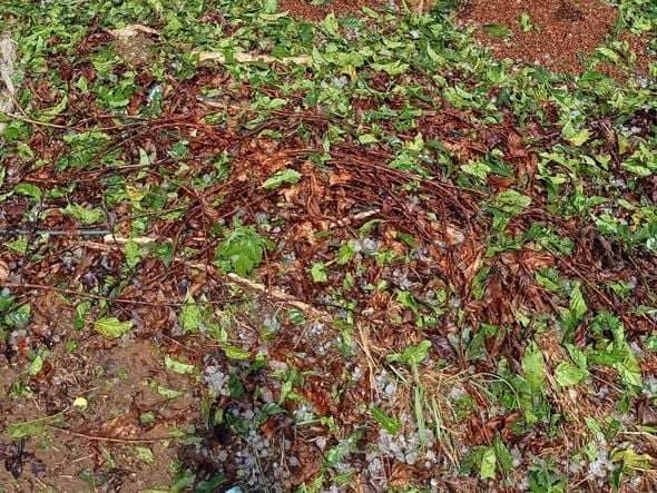 Chuva de granizo também foi registrada em Domingos Martins nesta quinta-feira (30) por Leitor | A Gazeta