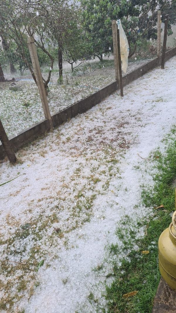 O gelo "pintou" de branco os cenários verdes dos campos por Leitor | A Gazeta
