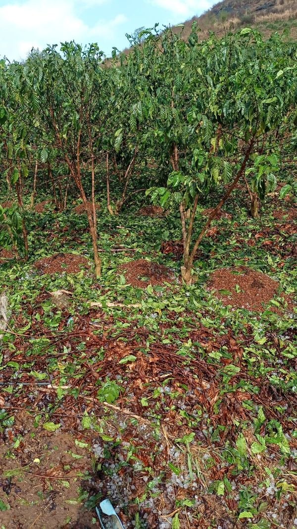 Chuva de granizo também foi registrada em Domingos Martins nesta quinta-feira (30) por Leitor | A Gazeta
