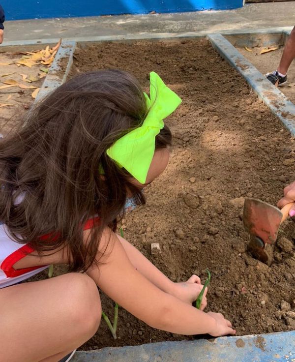 Crianças aprendem sobre meio ambiente na horta do Colégio Americano da Serra