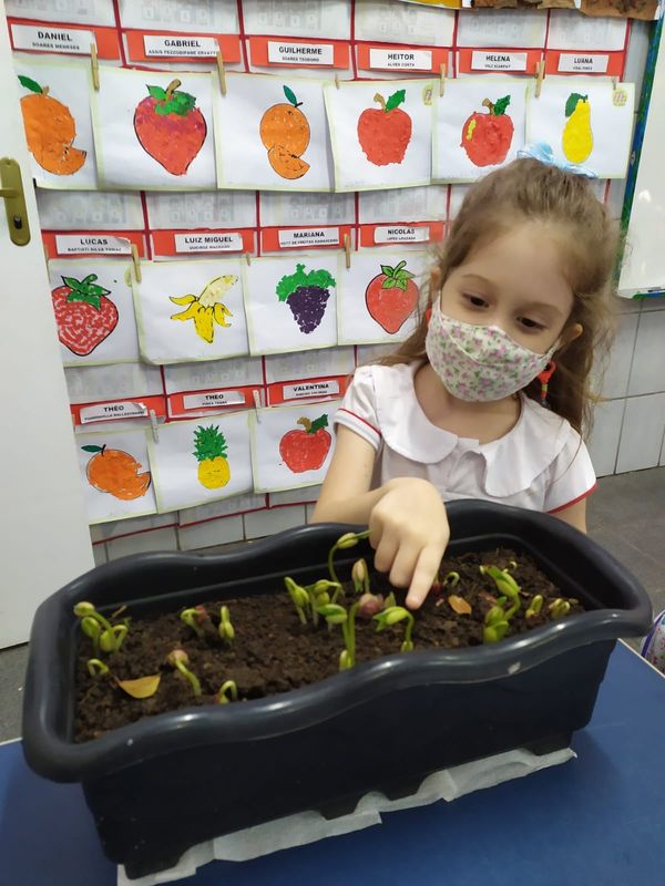 Crianças aprendem sobre meio ambiente na horta do Colégio Americano de Vila Velha