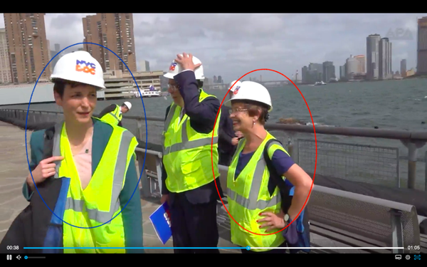 Passando a Limpo: Post engana ao  comparar presidente austríaco que comeu na rua em Nova York com Bolsonaro