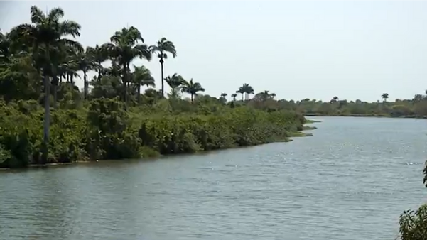 Rio Cricaré, que abastece o município de São Mateus.