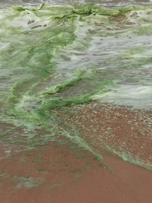 Espuma verde é registrada no mar de Manguinhos