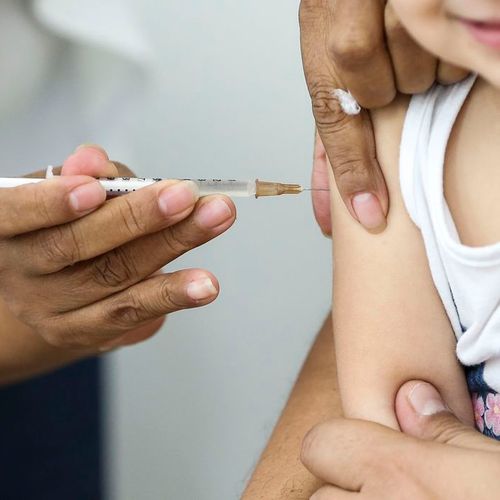 Secretário da Saúde, Nésio Fernandes, divulgou balanço de notificações e confirmações da doença em crianças neste ano e fez apelo: 'Vacinação das crianças tem pressa'
