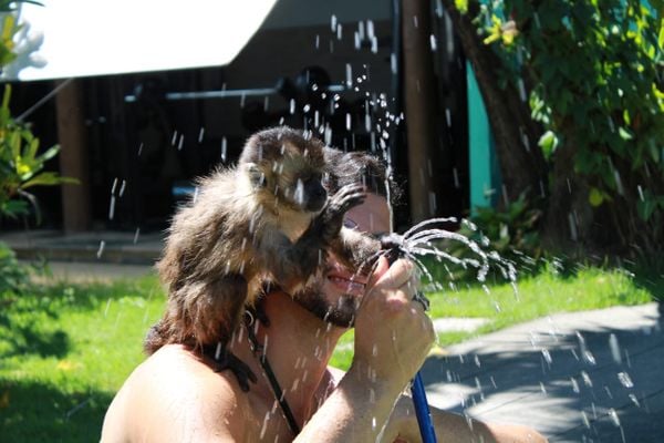 Davi e Rafael aproveitando o dia de sol na Serra por @macacocapixaba | Instagram