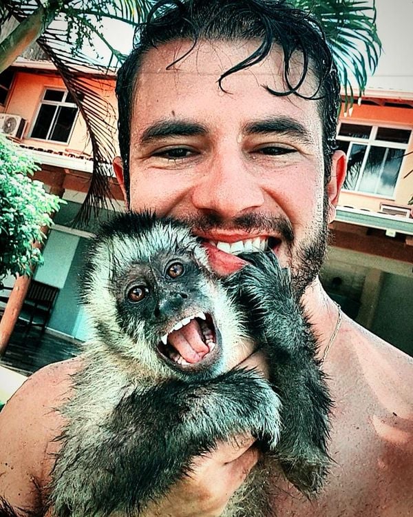 Davi já acumula mais de 3 mil seguidores no Instagram, administrado pelo Rafael por @macacocapixaba | Instagram