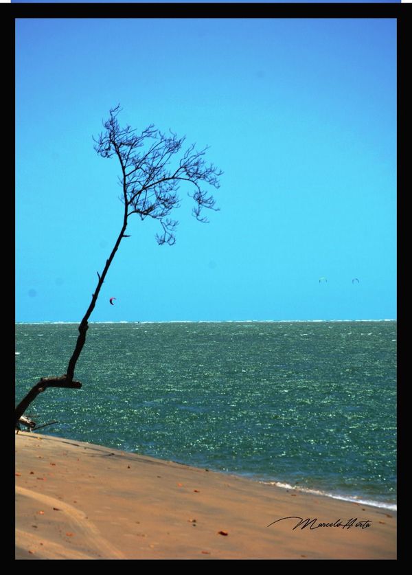 Imagens da exposição "Esse Elo", de Marcelo Horta por Marcelo Horta