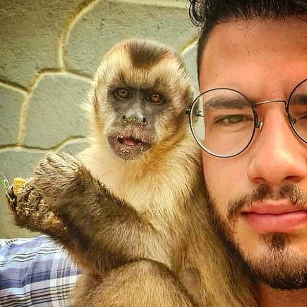 O macaco capixaba, Da por @macacocapixaba | Instagram
