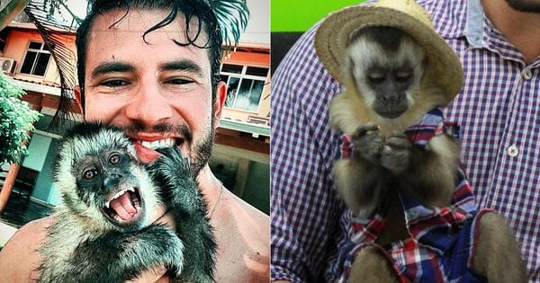 O macaco capixaba Davi já acumula mais de 3 mil seguidores no Instagram