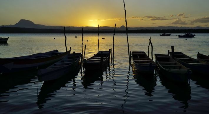 Evento será realizado no próximo dia 23, com encontro na Rede Gazeta e passeio pela Ilha das Caieiras, em Vitória. Veja como se inscrever