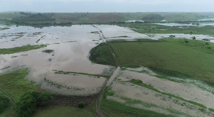 Segundo os produtores, há cerca de 10 anos a água escoava em um período de 30 dias, agora, as áreas têm ficado até oito meses alagadas
