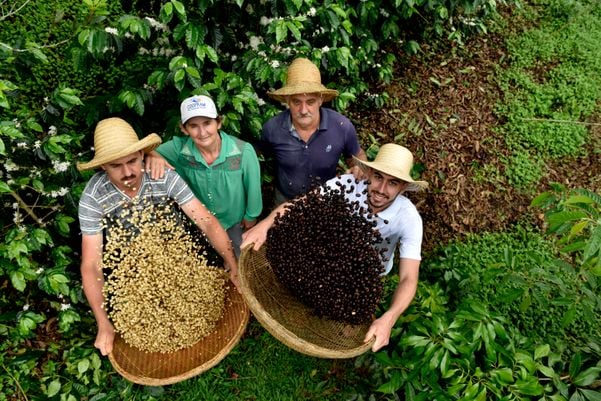 A Gazeta  Café capixaba é vendido para gigante do setor agrícola