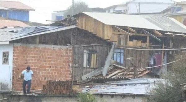 Paraná: diversas cidades registraram queda de árvores e postes, além de casas destelhadas