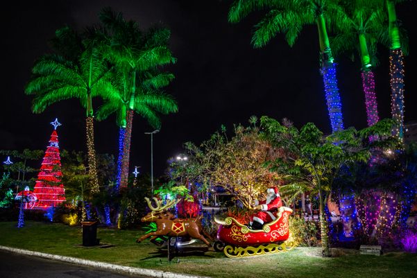HZ | Com árvore de 25 metros, Serra pretende gastar R$ 3 mi em decoração de  Natal | A Gazeta
