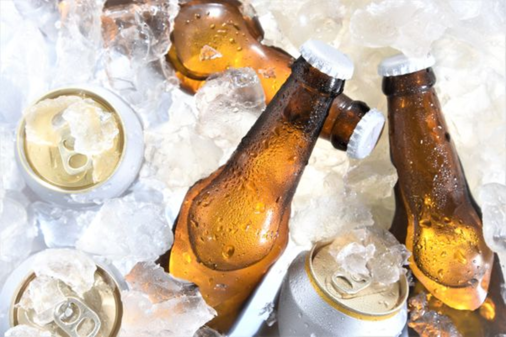 Confira uma seleção de cervejas especiais que custam entre R$ 5,50 e R$ 14,50, em média, para curtir durante os festejos