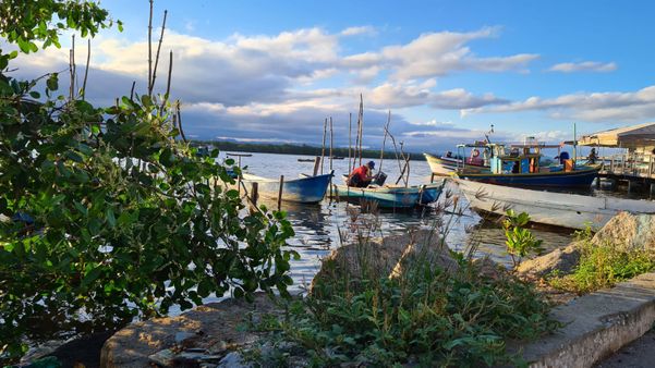 Imagens da Ilha das Caieiras
