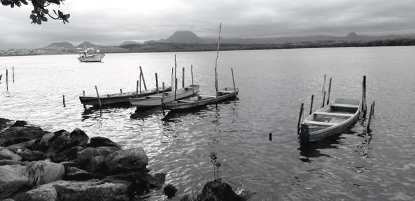 Imagens da Ilha das Caieiras