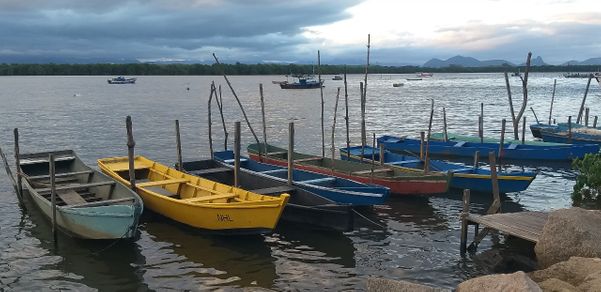Imagens da Ilha das Caieiras