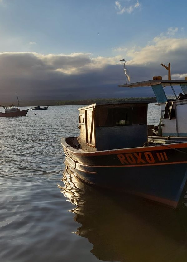Imagens da Ilha das Caieiras