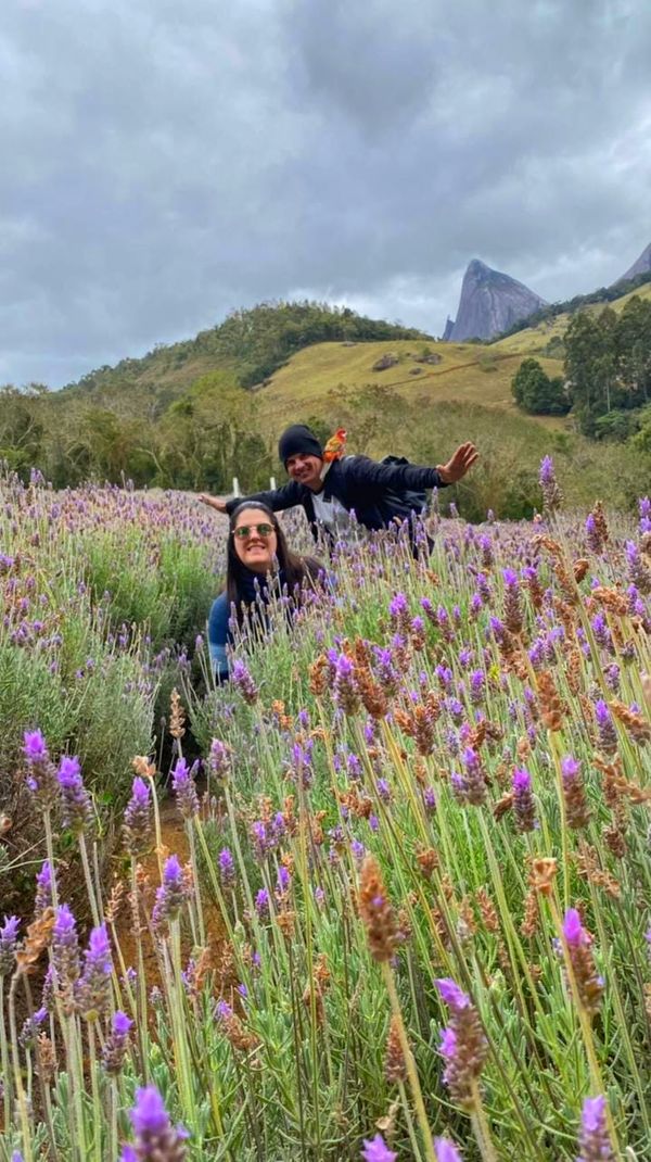 Morador de Vila Velha, Fred é uma rosela vermelha canela e tem mais de 9,7 mil seguidores no Instagram por @rosela.brasil | Instagram