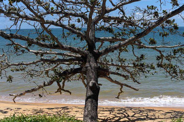 Processo de erosão na rodovia ES-060 na localidade de Meaípe em Guarapari por Vitor Jubini