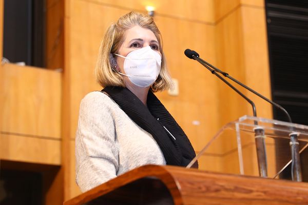 Doutora em Educação e professora da Universidade Federal do Espírito Santo, Cleonara Maria Schwartz