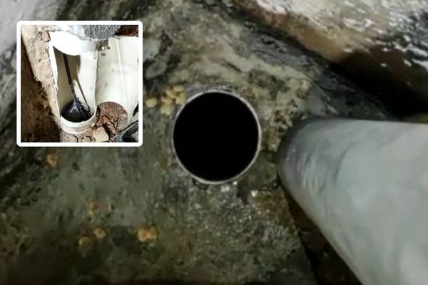 Gato entrou em cano que estava sem tela de proteção. Em destaque, o corte feito por bombeiro em cano para a retirada do animal