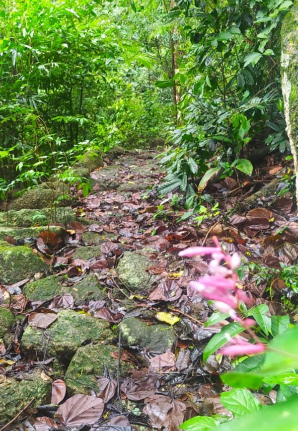Caminho antigo da Gruta da Onça