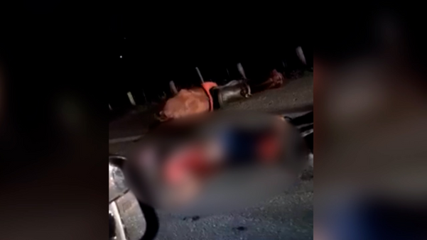 Acidente em estrada de Linhares envolvendo uma motocicleta e um cavalo deixou um homem morto
