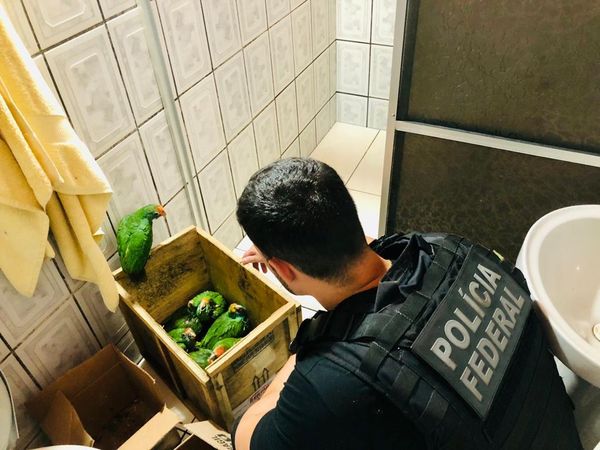 PF faz operação contra o tráfico de animais no ES por Polícia Federal