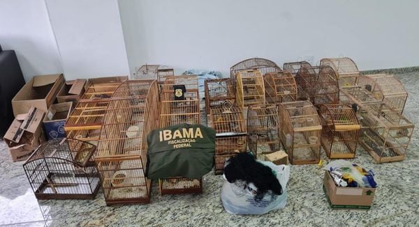 PF faz operação contra o tráfico de animais noES por Polícia Federal