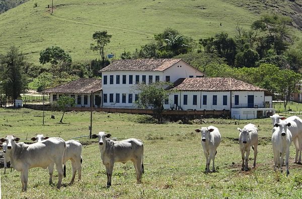 Casarão da Fazenda do Centro, em Castelo, Sul do ES por Instituto Frei Manuel Simon  (IFMS)